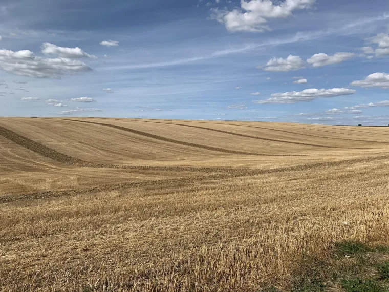 Paysage agricole ouvert de la région Grand Est