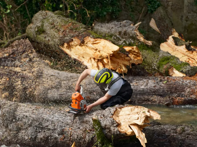Découpe de troncs dans le lit d’une rivière pour dégager un embâcle