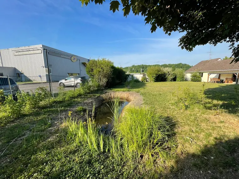 Bassin planté de roseaux et d’iris d’une station d’assainissement écologique, en bordure de bâtiment