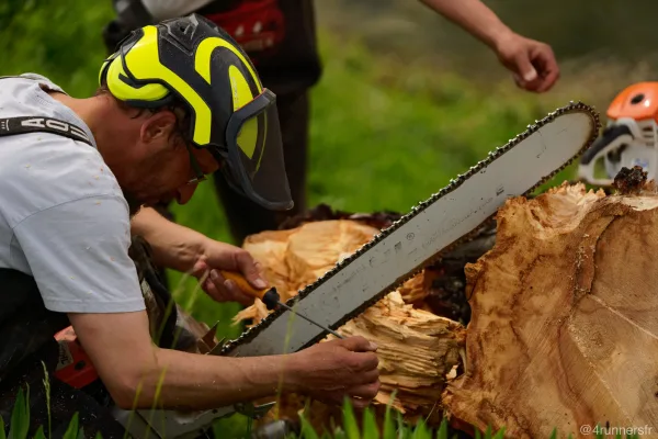 Tronçonnage d'une grume, tenue de protection complète