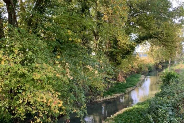 Cours d'eau et sa ripisylve